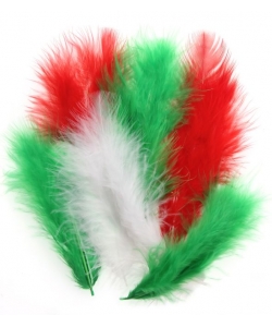 Craft For All Mixed Pink & Red Feather 20Pcs 5-12Cm Ca-158