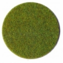 Grass Fibers Modeline Spring Green 20G 3359