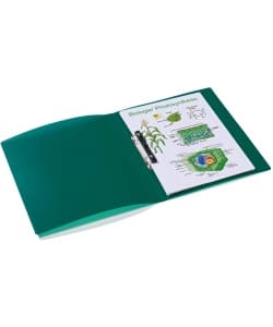 Ring Binder Herma Pp A4 2 Rings 25Mm Transparent - Image 3