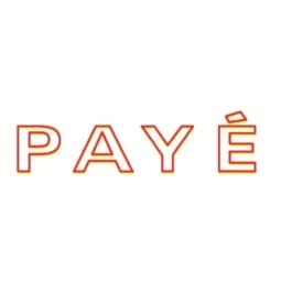 Stamp Shiny Pre-Inked "PAYE" - Image 2