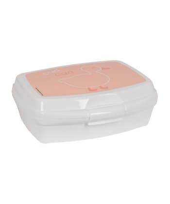 Lunch Box Ducks