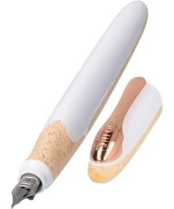 Pen Fountain Online Air - Image 15