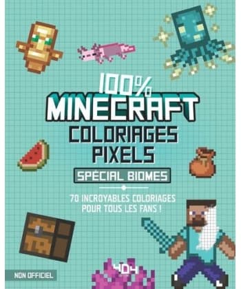 Coloriage Pix. Minecraft Biome 404  Editions