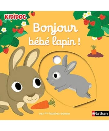 Kididoc Histoires - Bonjour Bebe Lapin !