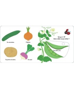 Mon Imagier Des Legumes Nathan - Image 5