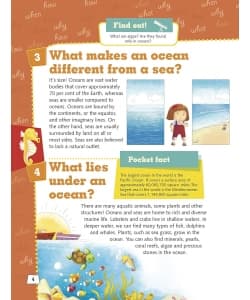 Om Books What Seas And Oceans? - Image 2
