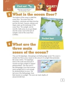 Om Books What Seas And Oceans? - Image 3