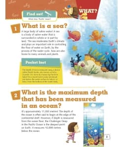 Om Books What Seas And Oceans? - Image 5