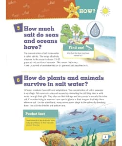 Om Books How Seas And Oceans? - Image 5