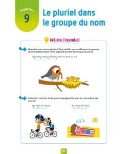 Pour Comprendre Dictees Ce1 - Image 2