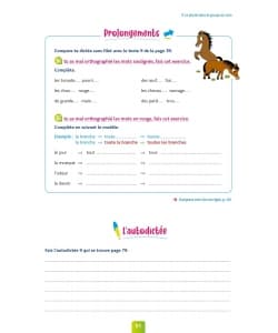 Pour Comprendre Dictees Ce1 - Image 4