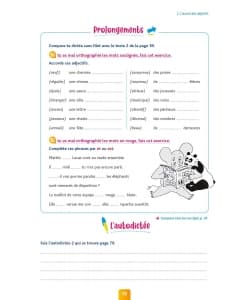 Pour Comprendre Dictees Cm1 - Image 2