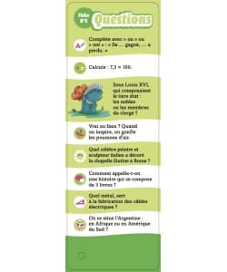 Incollables - Tout Programme Cm1 - 9/10 Ans - Image 5