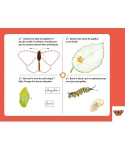 Cycles De Vie Montessori Bordas - Image 2