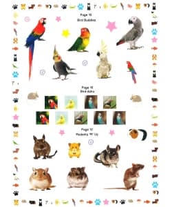 Pet Animals Activity Book - Image 4
