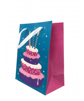 Gift Bag 18X23Cm 171St