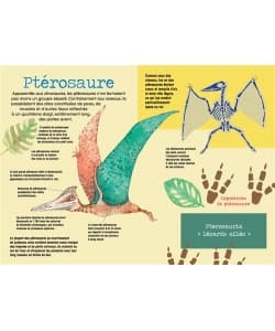 Construis En 3D Dinosaures - Image 4
