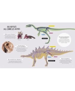 Tous Les Dinosaures - Image 3