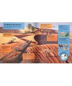 Les Animaux Sauvages - Image 3