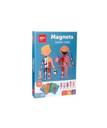 Magnets The Human Body 63/Pack - Apli