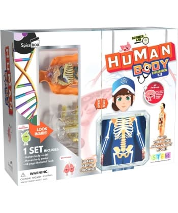 Spice Box Human Body