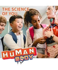 Spice Box Human Body - Image 2