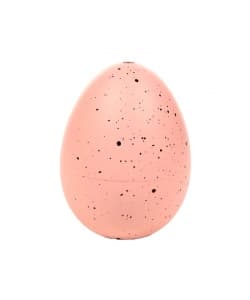Hatching Egg Dinosaur Ty63 - Image 4