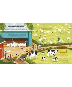 P Tits Curieux Usborne - La Ferme Des 5 Ans - Image 3
