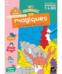 1, 2, 3 Jouons - Mes Coloriages Magiques Gs - Image 1