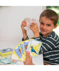 Families Card Games - Apli - Image 4