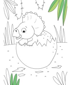 Les Dinosaures - Mes Super Coloriages - Image 2