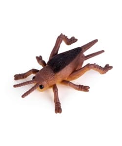 Squeeze Me Insects World - Apli - Image 4