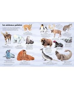 Mon Grand Livre Depliants Des Animaux - Des 4 Ans - Image 2