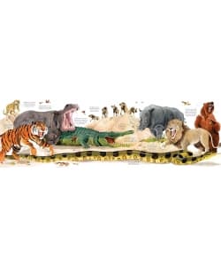 Mon Grand Livre Depliants Des Animaux - Des 4 Ans - Image 3