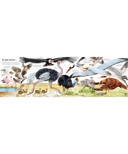 Mon Grand Livre Depliants Des Animaux - Des 4 Ans - Image 4
