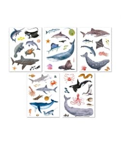 Marine Creature Sticker Realistic - Apli - Image 2