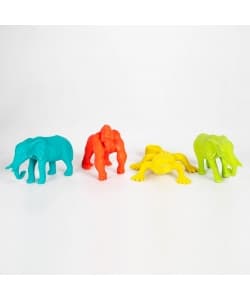 Eraser  Jungle - Apli - Image 1