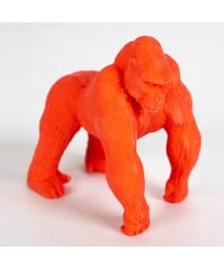 Eraser  Jungle - Apli - Image 3