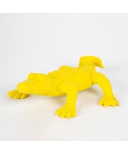 Eraser  Jungle - Apli - Image 5