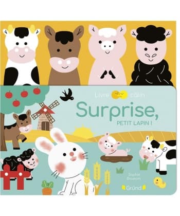 Surprise, Petit Lapin ! +4 Marionnettes A Doigts