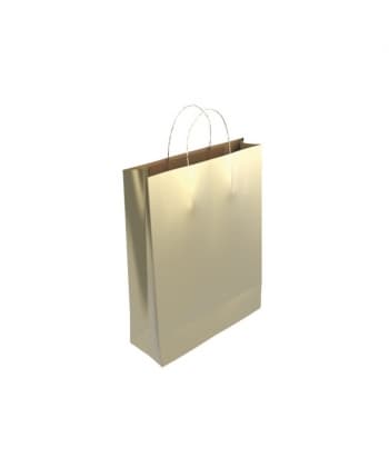 Gift Bag Bismark Kraft 27X12X37Cm Gold 329846