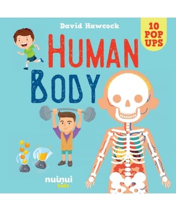 Amazing Pop-Ups - Human Body