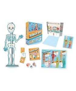 Box Brilliant Human Body - Image 2