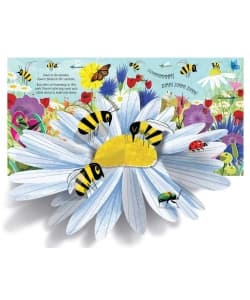 Usborne Pop-Up Nature - Image 4