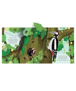 Usborne Pop-Up Nature - Image 3