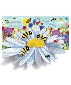 Usborne Pop-Up Nature - Image 2