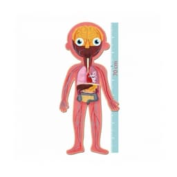 Educational puzzle Human Body - Image 3