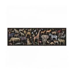 Puzzle Endangered animals Savanna - Image 3
