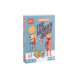 The human Body magnets - Image 1