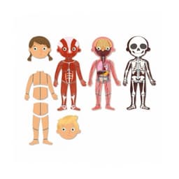 The human Body magnets - Image 2